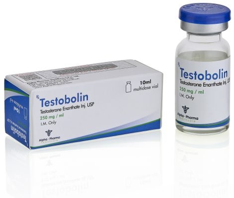 Testosterone Acetate 100mg/ml - Apoxar 6 Testosterone Acetate