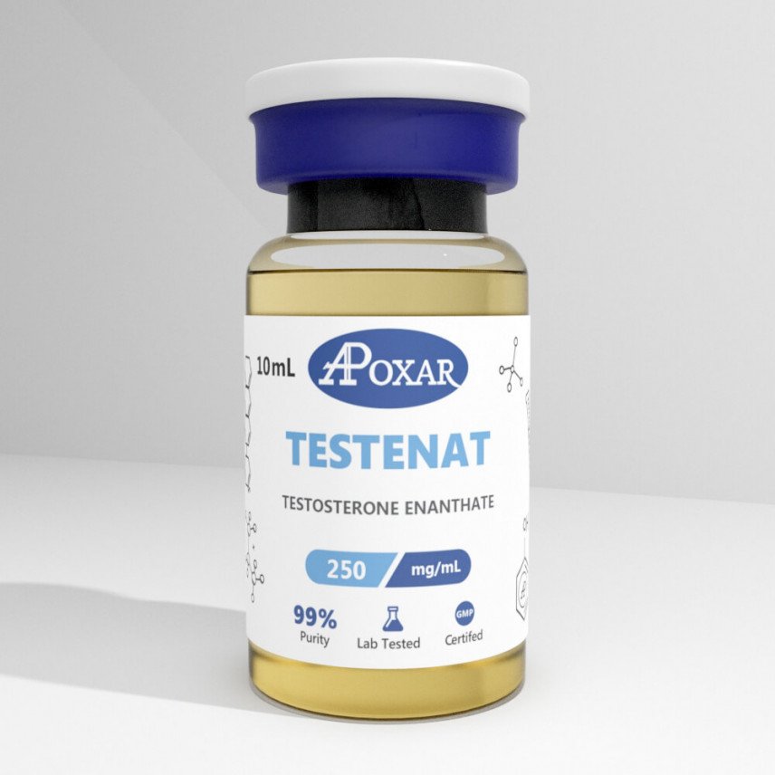 Testosterone Enanthate 250mg/ml - Apoxar 1 buy-testosterone-online-in-canada