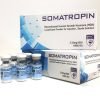 HGH - Somatropin 10iu/vial - Apoxar 2 hgh Somatropin 10iu